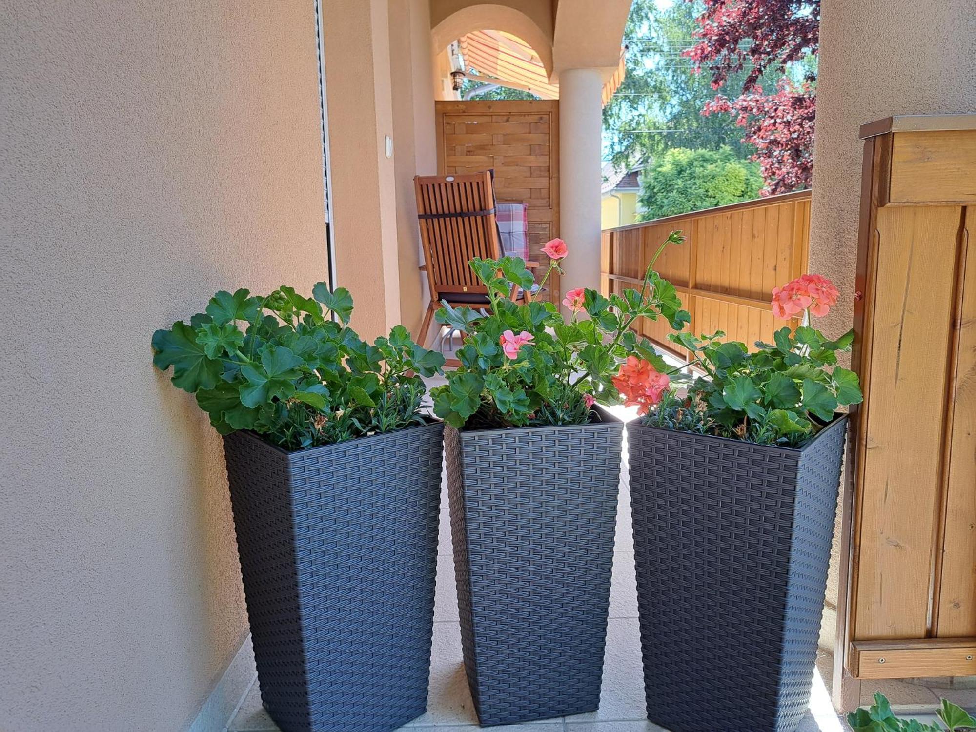 Apartment Andrea I Balaton Heviz